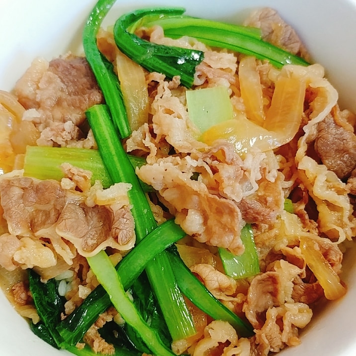 小松菜入り松屋の牛丼